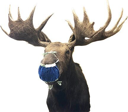 Duluth announces mask mandate